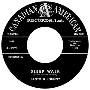 “Sleepwalk (New Stereo Mix 2021)”的封面