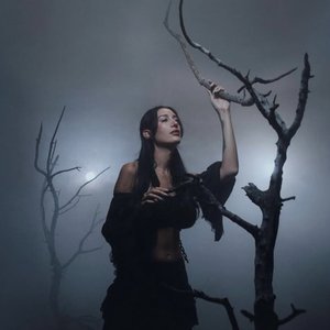 Immagine per 'Julia Wolf'
