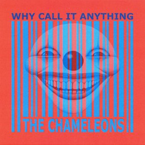 Image for 'Why Call It Anything'