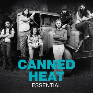 Image for 'Essential'