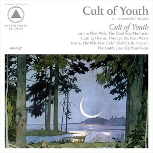 “Cult of Youth”的封面