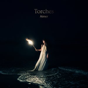 Image for 'Torches'