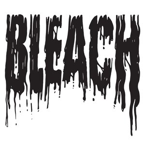 Image for 'Bleach'