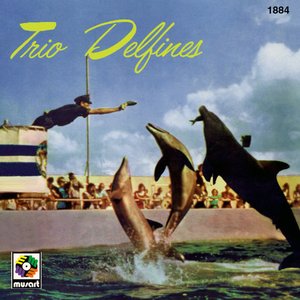 Image for 'Trio Delfines'