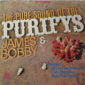 Bild für 'The Pure Sound Of The Purifys'