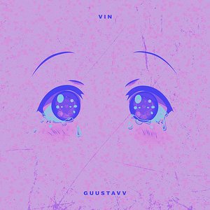 “Vin”的封面