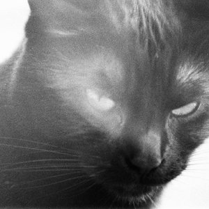 Image for 'Infraröd'