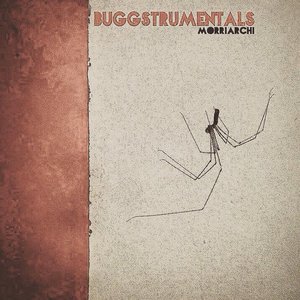 “BuGGstrumentalS”的封面