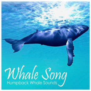 Изображение для 'Humpback Whale Sounds'