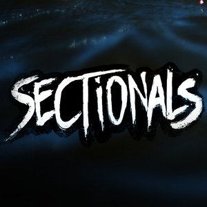 Image for 'Sectionals'