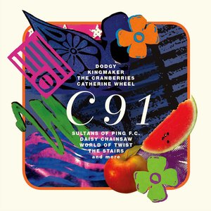 “C91”的封面