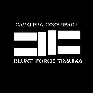 “Blunt Force Trauma”的封面