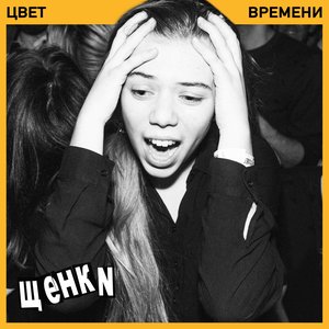 “Цвет времени”的封面