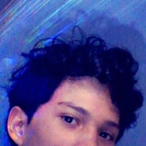 Rodrigomesm
