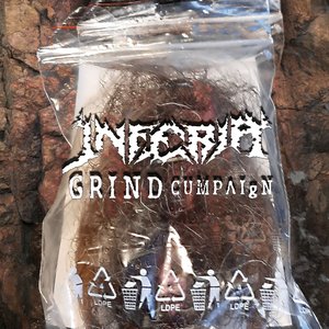 Image for 'GRIND CUMPAIgN'