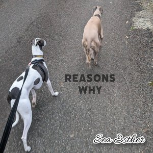 Image for 'Reasons Why'