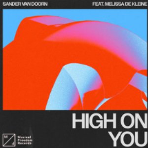 Image for 'High On You (feat. Melissa de Kleine)'
