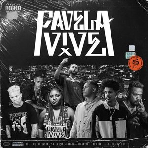 Image for 'Favela Vive 4'