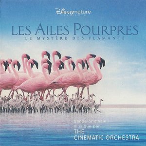 “Les Ailes Pourpres - Le Mystère Des Flamants”的封面