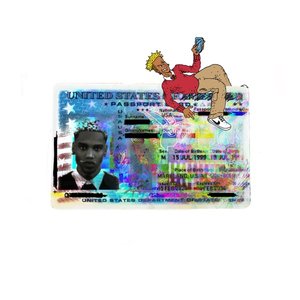 Image for 'POSITIVE IDENTIFICATION'