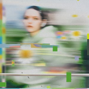 “daisy*”的封面