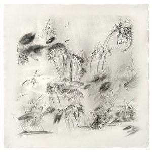Image for 'Cicada Lullaby'