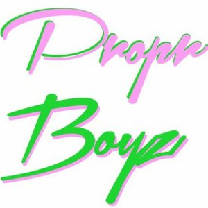 Image for 'Propr Boyz, Vol. 2'