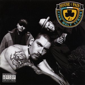 Image pour 'House of Pain'