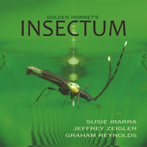 Image for 'INSECTUM'