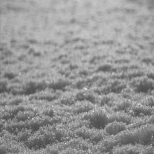 “Schnee”的封面