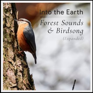 Image for 'Forest Sounds and Birdsong (Expanded)'