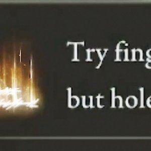 Immagine per 'FROMSOFTWARE'