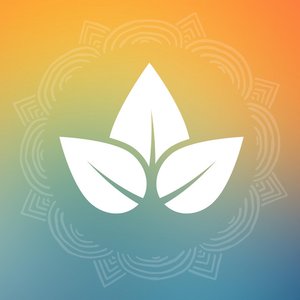 “Solfeggio Sanctuary”的封面