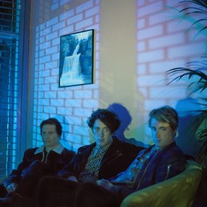 Image for 'The Wombats'