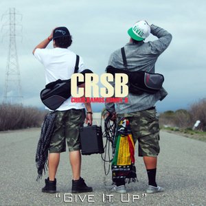 “CRSB”的封面