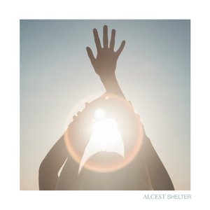 “Shelter (Deluxe Edition)”的封面