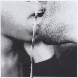Immagine per 'Lovers Fevers'