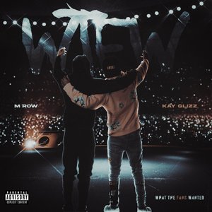 Image for 'What The Fans Wanted'