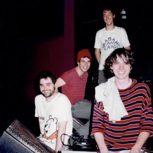 Изображение для 'Animal Collective'