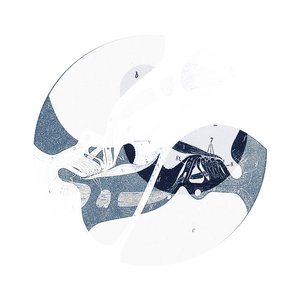 Image for 'WHS 01'
