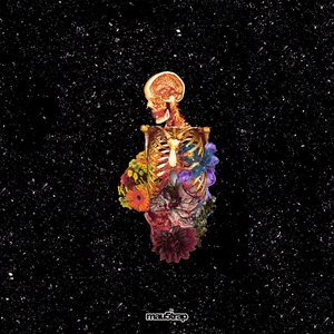 “Visceral”的封面