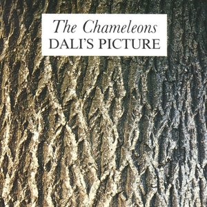 Image for 'Dali's Picture'