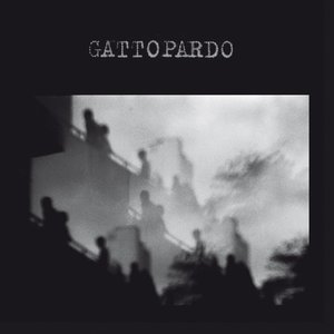 'Gattopardo'の画像