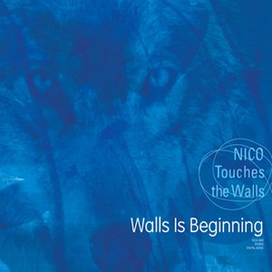 Image for 'Walls Is Beginning'