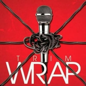 Image for 'Wrap'