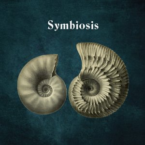 'Symbiosis'の画像