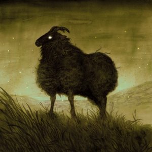 “Fallen Sheep”的封面