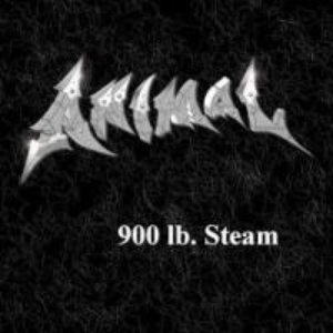 Image for '900 Lb. Steam'