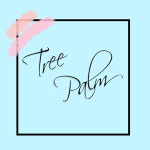 “Tree Palm”的封面