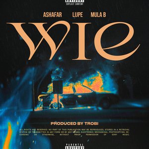 Image for 'Wie'